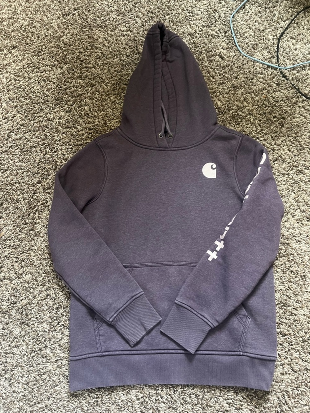 Carhartt Graphic Logo Hoodie